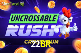 22BR